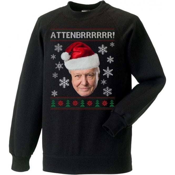 David Attenbrrrrrr! Kids Christmas Jumper