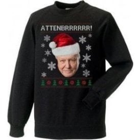 David Attenbrrrrrr! Christmas Jumper