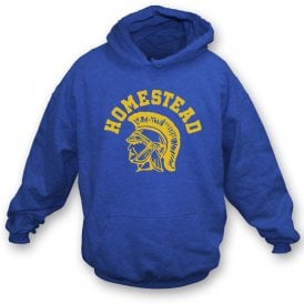 Homestead (As Worn By Damon Albarn, Blur/Gorillaz) Kids Hooded Sweatshirt