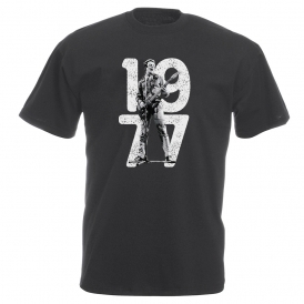 Joe Strummer 1977 Vintage Wash T-Shirt