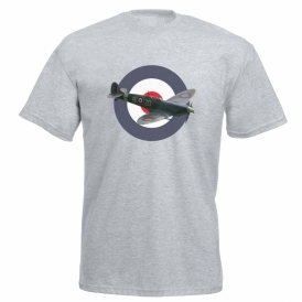 Spitfire/RAF Roundel Organic T-Shirt