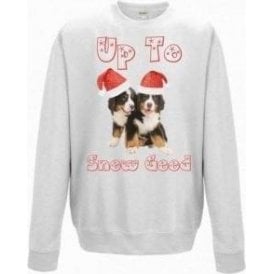 Up To Snow Good (Burnese Sennenhund) Christmas Jumper